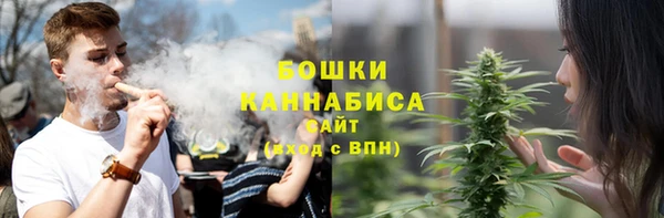 PSILOCYBIN Корсаков