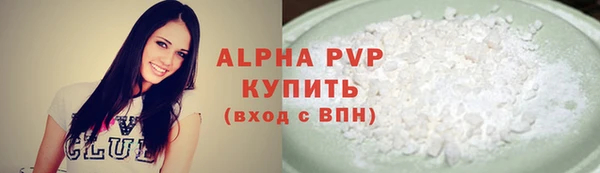 PSILOCYBIN Корсаков