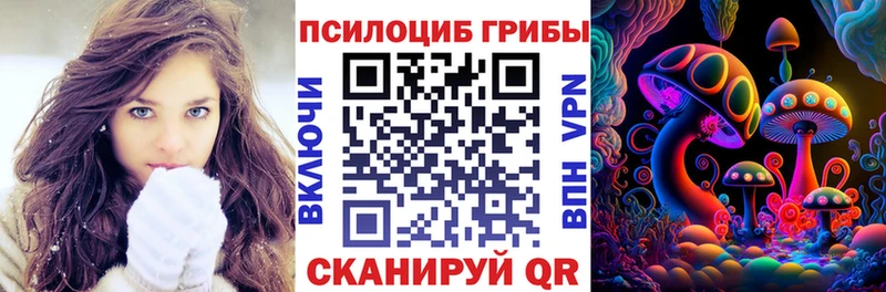 Купить закладки  Трубчевск  Псилоцибиновые грибы ЛСД 
